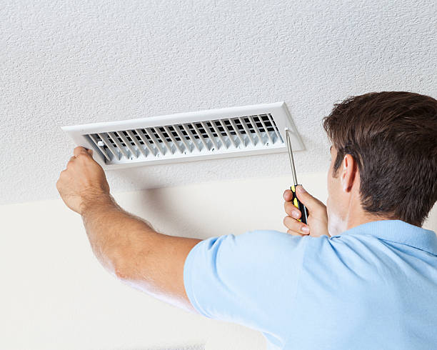 Best Comprehensive Air Testing for Mold Contaminants  in Chalfant, CA